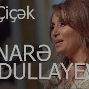 Elnare Abdullayeva Cicek