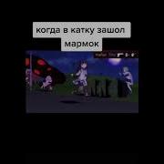 Мармок Привет