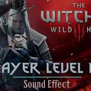 The Witcher 3 Level Up Sound
