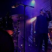Дельфин Драться Акустика В Gipsy 06 01 2021