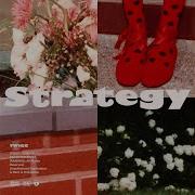Twice Strategy Instrumental