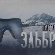 Судебный Детектив Рынок