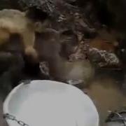 Без Обид Но У Женщин Это От Природы Видео Прикол