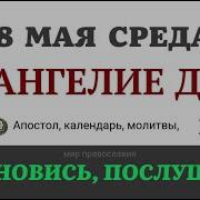 28 Мая Среда Евангелие Дня 2025 С Толкованием