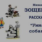 Зощенко Зимний