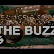 Timmy Trumpet Buzz