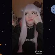 Енот Diracoonr Tiktok Compilation