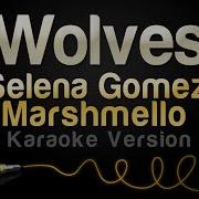 Selena Gomez Marshmello Wolves Karaoke Version