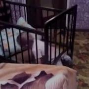 Я Бы Вдул Ахуенная Попа