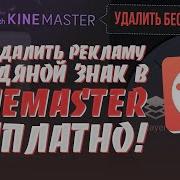 Как И Где Скачать Kino Master Pro Без Водяного Знака