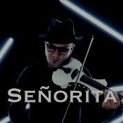 Senorita Violin Frank Lima