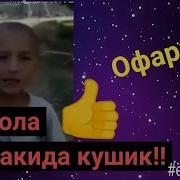 Ота Хакида Кушик Айтти Ёш Бола Ёшталант