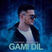 Gami Dil