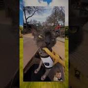 Смешные Моменты С Каналасмешные Моменты С Канала Ilyasikuba Из Тик Тока