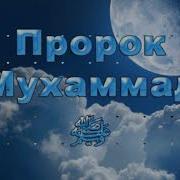 Буйи Мухаммад Омад С А В