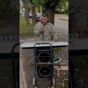 Алексей Лиманский Журавли