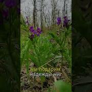 Забери Меня Молча В Даль