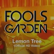 Fools Gorden Lemon Tree