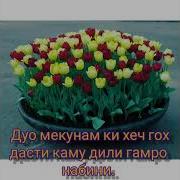 Табрикот Зодрузи Фарзанд