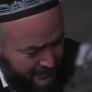 Мавлуд Дар Васфи Пайгамбар