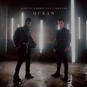 Martin Garrix Ocean Acapella