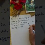 Песня Кролика Прости Додо Так Много Важных Дел