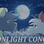 Moonlight Meme Amv Pmv