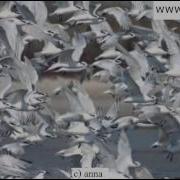 Владимир Асимов Клип На Песню Кончилось Лето