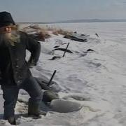 Дед Отшельник Вы Кто Такие Оригинал
