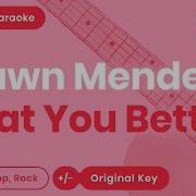 Shawn Mendes Treat You Better Karaoke Lyrics Acoustic Guitar Instrumental