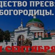 Богородице Дево Радуйся 40 Раз