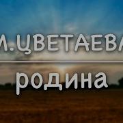 Родина Цветаева