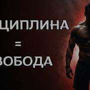Если У Тебя Нет Дисциплины Ты Не Что