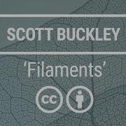 Filaments Scott Buckley