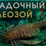 Лекции Для Сна Палеозой
