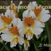 Спаси Господь И Сохрани Песня Скачать