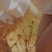 Yandex Порна Видео Заафилы