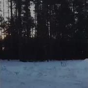 Красывые Парни Машины Не Тонируют