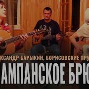 Александр Барыкин Борисовские Пруды