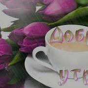 Игорь Николаев Доброе Утро