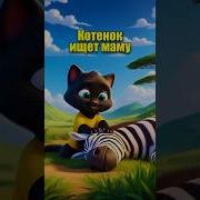 Мем Чёрного Котика