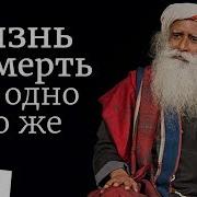Жизнь И Смерть Это Одно И Тоже Садхгуру