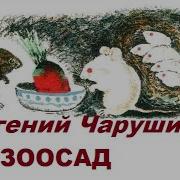 Аудио Рассказ Зоо