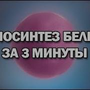 Биосинтез