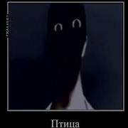 Скарамучча Кричит Хватит