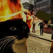 Half Life 2 Но У Меня Есть Кот