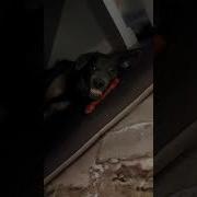 А Я Иду На Конфликт И Мне Плевать