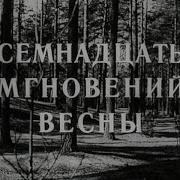 Капелян Семнадцать Мгновенья Весны