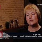 Конец Эфира Твц 2020