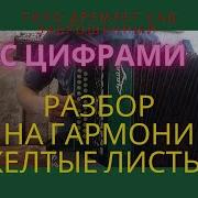 Текст Живем В Деревне А Пользы Не Приносим